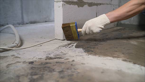 24/7 Emergency Exterior Waterproofing experts in Leoma, TN